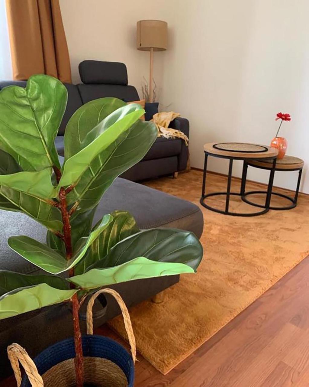 Sovirag Apartman Egerszalók Exterior foto